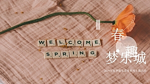 购物中心春季服装发布会系列活动策划案