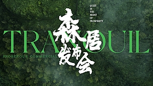 地产项目高端森居美学发布会