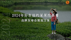 低预算品牌上市发布会