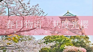 春季樱花主题暖场活动