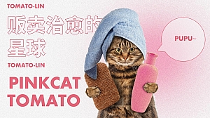 商业地产萌宠主题活动方案