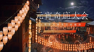 地产项目项目元宵赏灯庙趣游