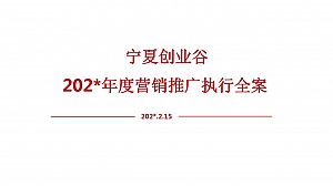 某项目年度营销策划案 #产业园# #三新产业#