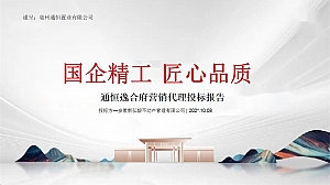 某项目年度营销策划案 #亳州# #低密# #学区#