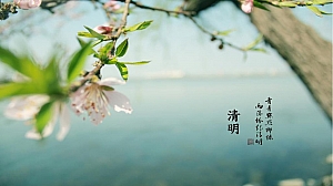 地产项目清明踏青活动策划方案