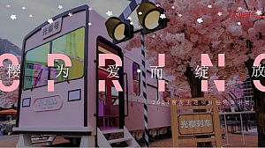 2024”樱为有您·美好如期“樱花主题暖场互动活动方案