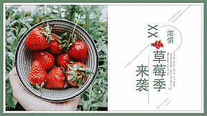 地产圈层维护活动业主草莓采摘活动执行方案