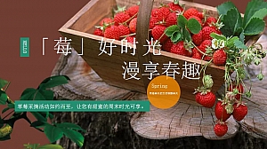 莓采摘主题活动房地产暖场活动活动策划方案