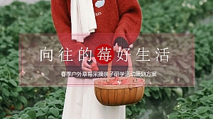 春季户外草莓采摘亲子研学活动策划方案
