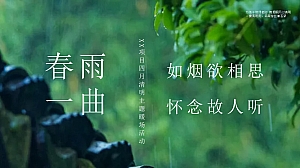 地产清明主题(春雨如烟欲相思一曲_怀念故人听)活动策划方案