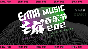 情人节潮流国潮贰麻酒馆音乐节活动策划方案