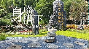 2024第二届避暑节活动方案