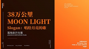 音乐节商业地产38万公里Moonlive落地执行方案