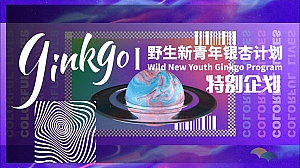 夏日特别企划-野生新青年音乐节电音节文娱活动策划方案