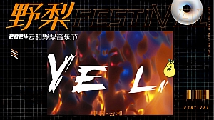音乐节文旅云和野梨音乐节活动策划方案