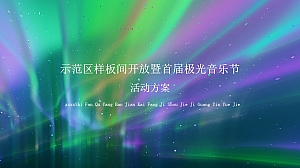 示范区样板间开放暨首届极光音乐节活动方案
