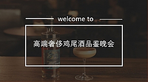 高端圈层奢侈鸡尾酒品鉴晚会策划方案