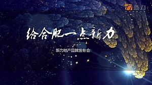 住房地产案名发布会地产品牌活动策划方案