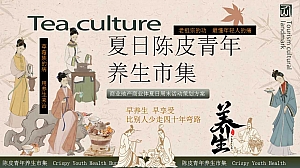 夏日陈皮青年养生市集商业地产商业体周未活动策划方案