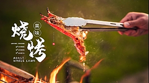 音乐烧烤节户外露营方案