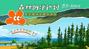 “森林纳凉计划”夏季舞会音乐田野放松浪湿运动会团建拓展活动方案
