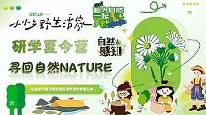 “研学夏令营”夏季趣味亲子生活服务生活节活动方案