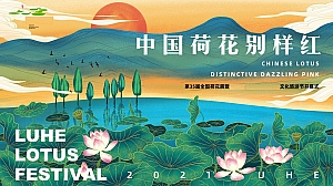 35届全国荷花展暨荷花文化旅游节开幕式