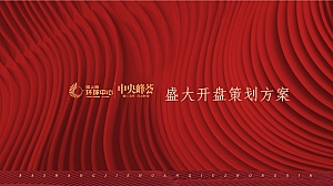 坝上街中央峰荟盛大开盘策划案