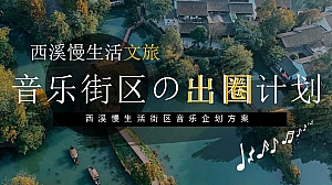 2024潮流慢生活文旅音乐街区公共组织嘉年华计划活动方案