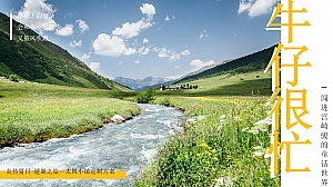 【牛仔很忙】夏季活动西部牛仔团建拓展文娱文旅活动方案