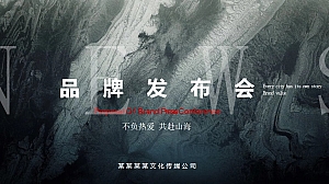 高端重新城市地产发布会品牌发布会活动策划方案