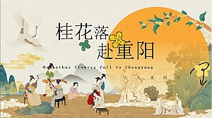 “桂花落 赴重阳”重阳节美陈打卡波天富桂文化老人桂花宾美食游戏互活动策划方案