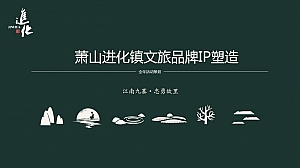 某镇文旅ip全案规划案+全年活动策划案