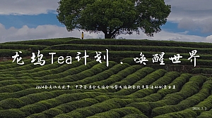 【龙坞Tea计划】茶文化节集市市集活动策划方案
