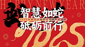2025年会季地产答谢晚宴年会(智慧如蛇 砥砺前行)主题活动策划方案