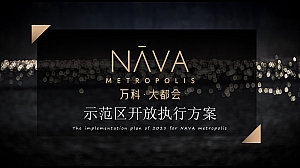 地产项目万科lab版示范区售楼处开放活动执行方案