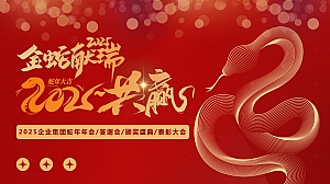 2025企业集团蛇年年会答谢会颁奖盛典表彰大会