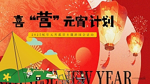 喜营元宵计划蛇年元宵露营主题游园会元宵节地产活动策划方案