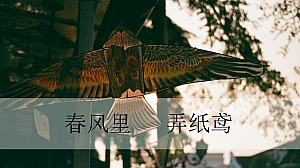 春日风筝住房地产暖场活动活动策划方案