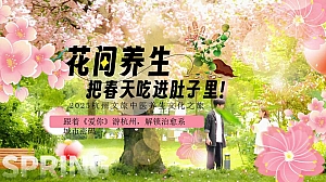 爱你-春季中医养生回春养生市集文娱文化节活动策划方案