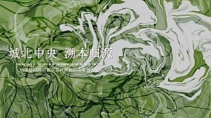 毕加索艺术展资源主题示范区售楼部开放亮相方案