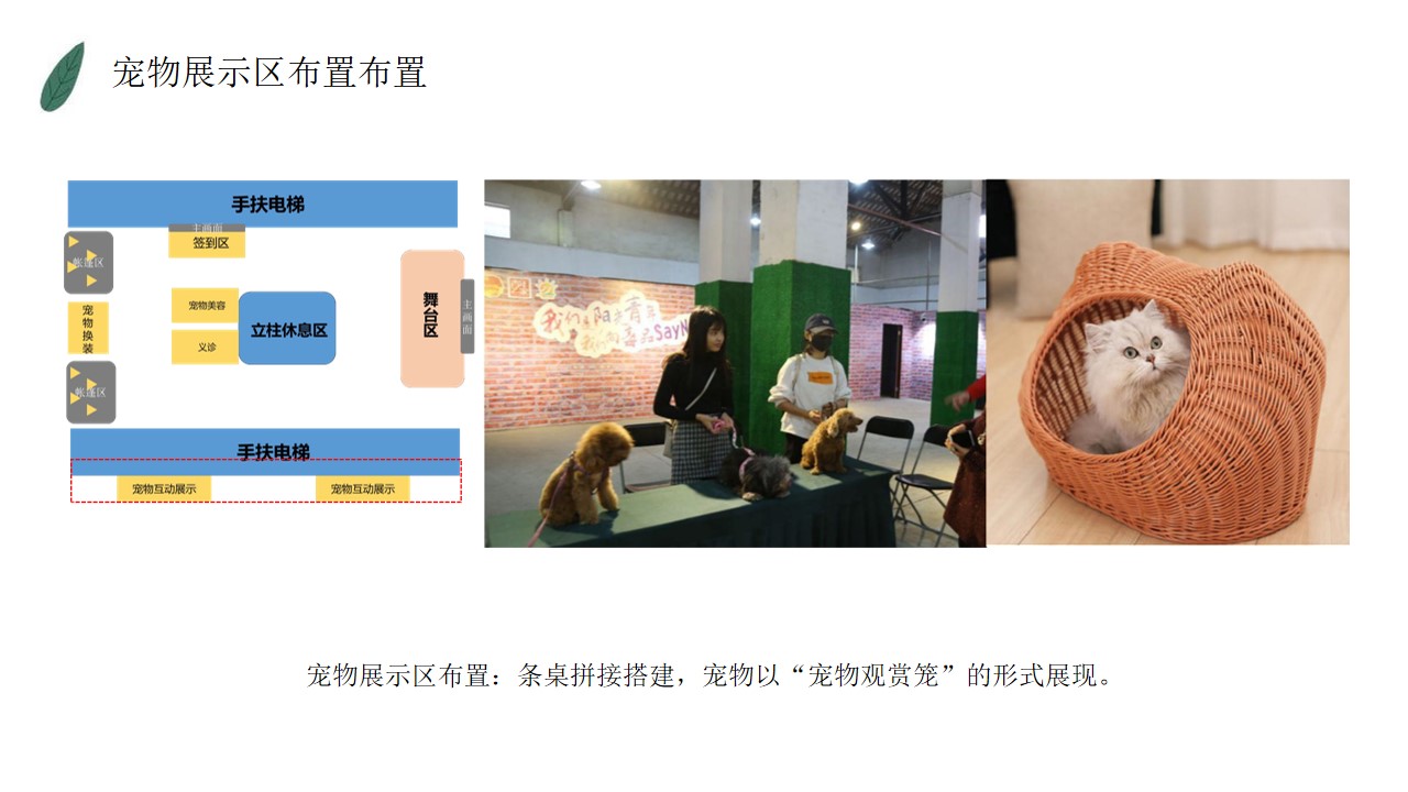 1648560071 42598eae9c79557 - 购物中心超级萌宠秀活动方案-26P