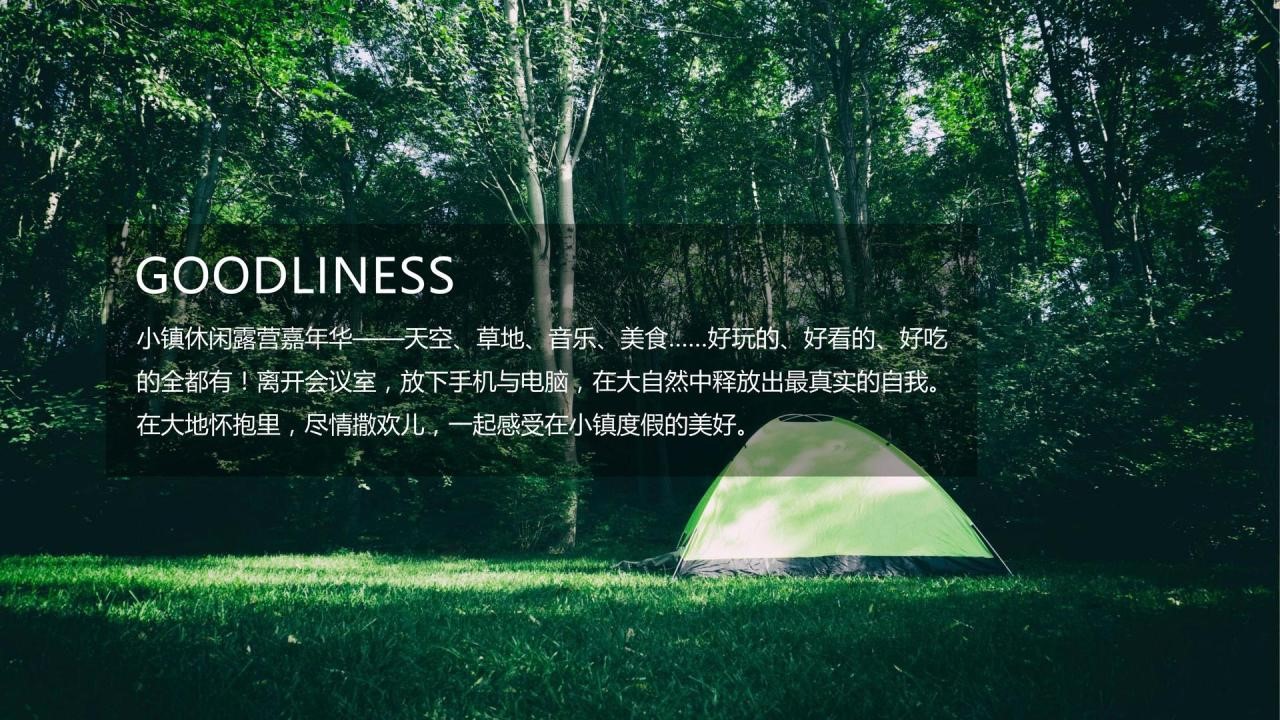 1656856223 50e3092c82ce78d - 地产项目城市露营草地生活节（露YING一夏主题）活动策划方案-44P