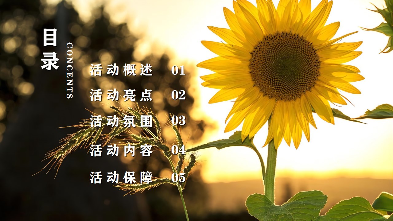 1657639911 42598eae9c79557 - 汽车品牌夏日露营音乐节（嗨玩仲夏主题）活动策划方案-65P