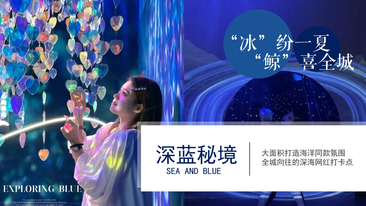 1658065018 a226fd4163bf13c - 地产项目7-8月暑期暖场（“冰”纷一夏 “鲸”喜全城主题）活动策划方案-49P