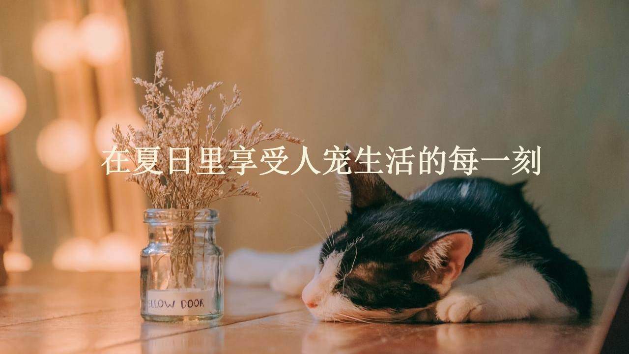 1658065299 42598eae9c79557 - 商业广场宠物市集嘉年华（萌宠夏日主题）活动策划方案-48P
