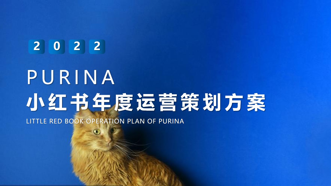 1662473521 561051a510bdcc5 - 宠物食品PURINA小红书年度运营策划方案-80P
