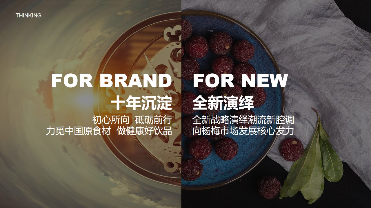 1662474194 a226fd4163bf13c - 企业转型发展战略发布会暨十周年庆典&全年活动规划方案-64P
