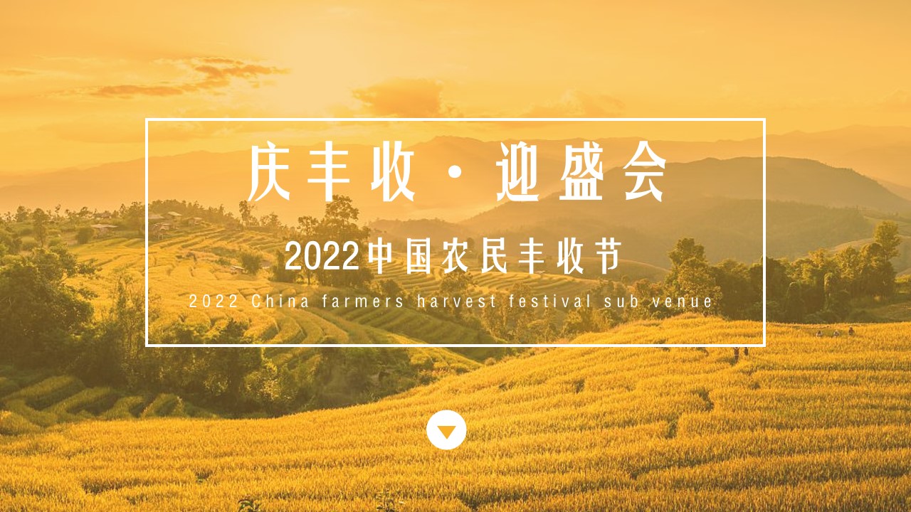 1665661287 561051a510bdcc5 - 【方案】2022中国农民丰收节（庆丰收·迎盛会主题）活动策划方案-75P