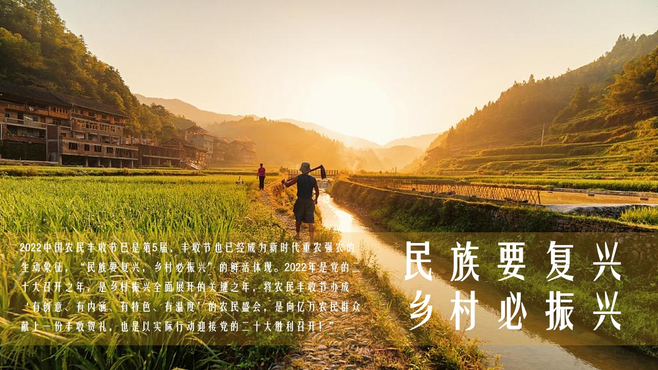 1665661295 b207e1016ea0a91 - 【方案】2022中国农民丰收节（庆丰收·迎盛会主题）活动策划方案-75P